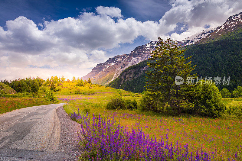 通往伊泽兰山口的山路-春天在瓦尔德的田园诗般的高山景观'Isère -法国阿尔卑斯山